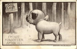 I'm Not Forgotten After All Postcard