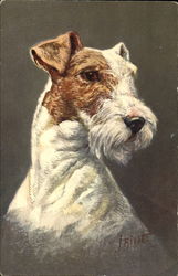 Stock #155638 Thumbnail