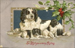 To Wlish You A Merry Christmas Postcard