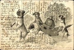 Dogs with Luggage Postcard Postcard