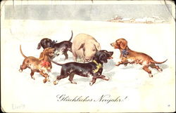 Gluckliches Neujahr! Dogs Postcard Postcard
