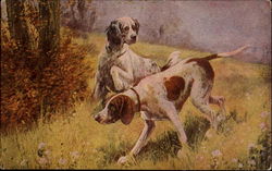 Pointer & Setter Postcard