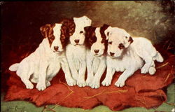 Stock #155682 Thumbnail