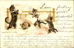 Kitten Pillowfight Postcard