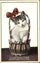 Lonesome Cats Postcard Postcard