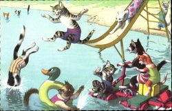 Swimming Hole Cats Postcard Postcard