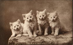 The Aristocrats Cats Postcard Postcard