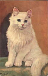 White Cat Postcard