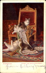 In Mischief Cats Postcard Postcard