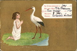 The Stork Brought A Boy The Stork Brought A Boy
