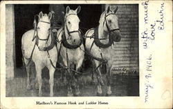 Marlboro's Famous Hook And Ladder Horses Postcard Postcard