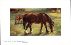 Fields In May's Fresh Verdure Drest Postcard