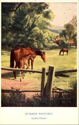 Summer Pastures Horses Postcard Postcard