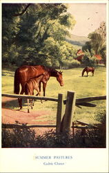Summer Pastures Postcard