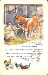 Dog In The Manger Cows & Cattle Postcard Postcard