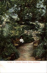 Stock #155884 Thumbnail