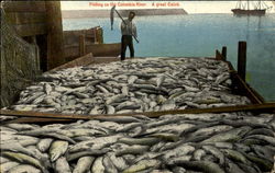 Fishing On The Columbia River Agreat Catch Postcard Postcard