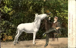 Have One On Me Donkey Have One On Me Donkey