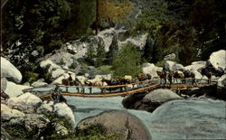 Beautiful California Pack Train Postcard