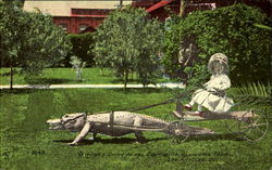Drive At The California Alligator Farm Los Angeles, CA Postcard Postcard