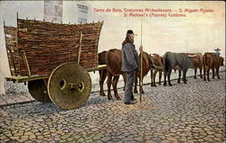 Carro De Bois Costumes Michaelenses Postcard