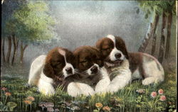 Puppies Postcard