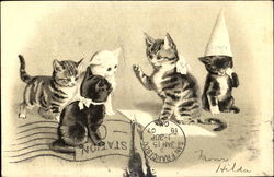 Kittens at School Cats Postcard Postcard