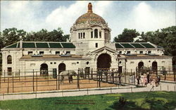 Elephant House Elephants Postcard Postcard