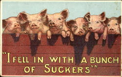 I Feel In With A Bunch Of Suckers Postcard