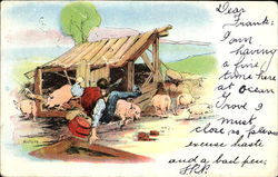 Pigs Postcard Postcard