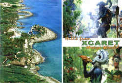 Greetings from Xcaret! Mexico