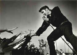 Elvis Presley Tupelo Mississippi 1956 Postcard