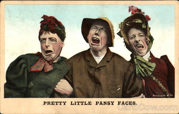 Pretty Little Pansy Faces Comic, Funny