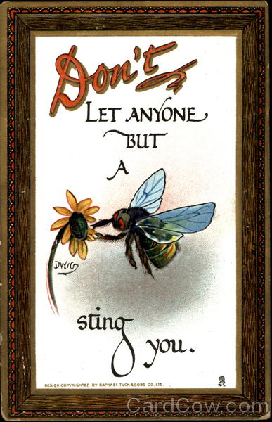 Don't Let Anyone But A Sting You DWIG