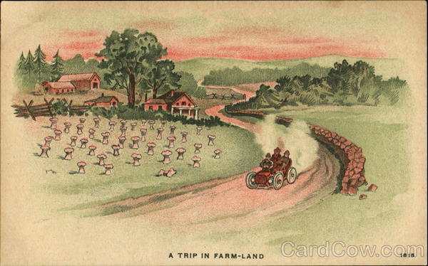 A Trip In Farm Land Scenic