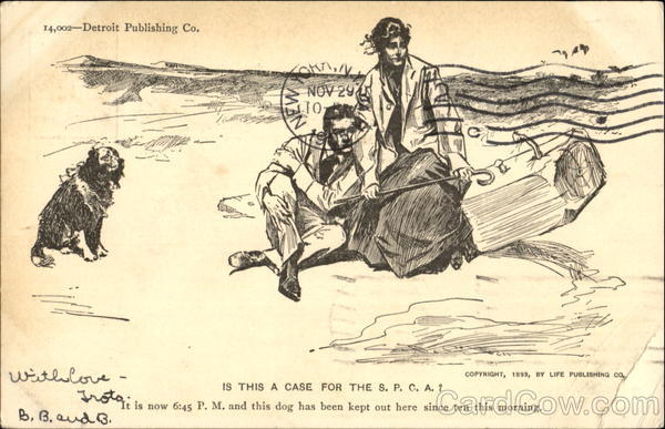 Is This A Case For The SPCA? Dogs