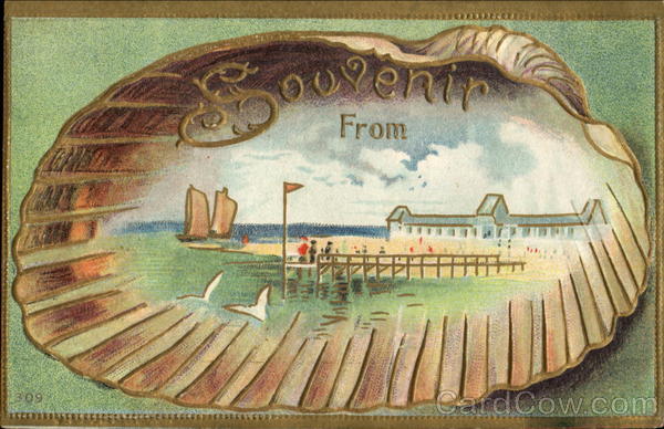 Shell Souvenir From Blank Destinations