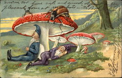 Gnomes, Mushrooms Postcard