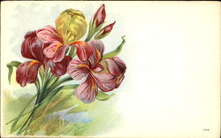 Flowers Postcard