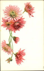 Flowers Postcard Postcard