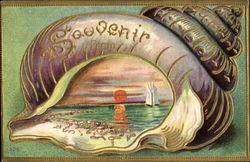 Shell Souvenir Postcard