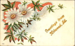 Greetings From Nilwood Postcard