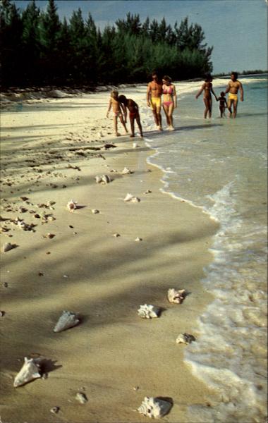 San Andros Beach Club Bahamas Caribbean Islands