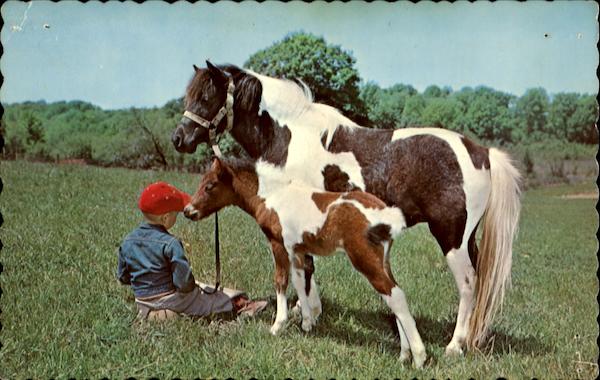 Greetings From Georgetown ON Canada Ontario