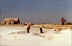 Ancient Method Of Raking Salt Is Still Practiced At Salt Cay Postcard