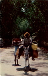 Stock #156827 Thumbnail