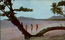 Vigie Beach St. Lucia Caribbean Islands Postcard Postcard
