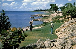 Stock #156880 Thumbnail