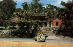 The Snake Temple Postcard