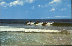 Surfing Postcard